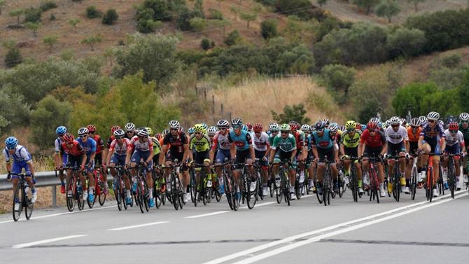 Scommesse Sul Ciclismo