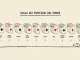 Infografica con le dieci mani del poker in ordine di forza, da scala reale a carta alta, illustrazione in stile inciso su sfondo crema